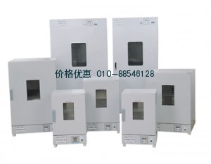 上海森信DGG-9240BD立式电热鼓风干燥箱