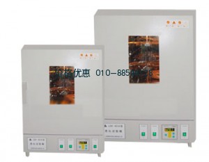 上海森信LSX-401老化试验箱