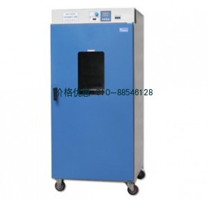 上海齐欣DGG-9920AD立式电热恒温鼓风干燥箱