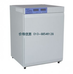 上海新苗DNP-9052BS-Ⅲ电热恒温培养箱