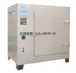 上海新苗DHG-9243BS-Ⅲ电热恒温鼓风干燥箱（500度）
